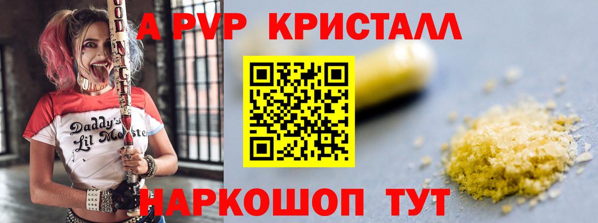 Альфа ПВП СК Архангельск